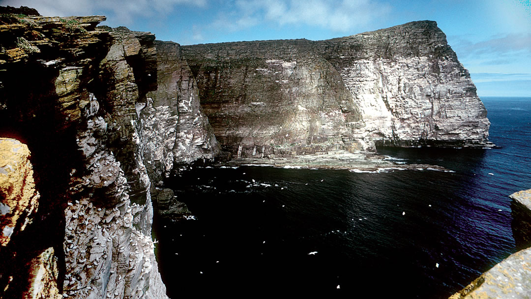 Noss cliffs in Shetland