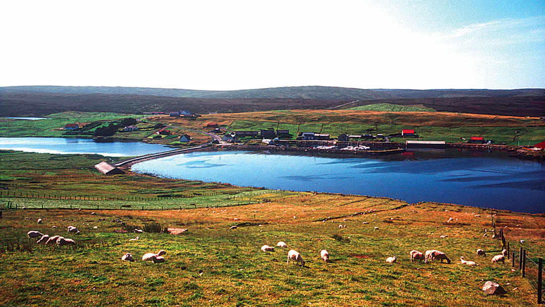 Vidlin in the Central Mainland of Shetland