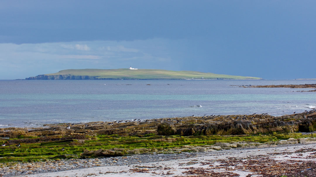 View of Copinsay from Deerness