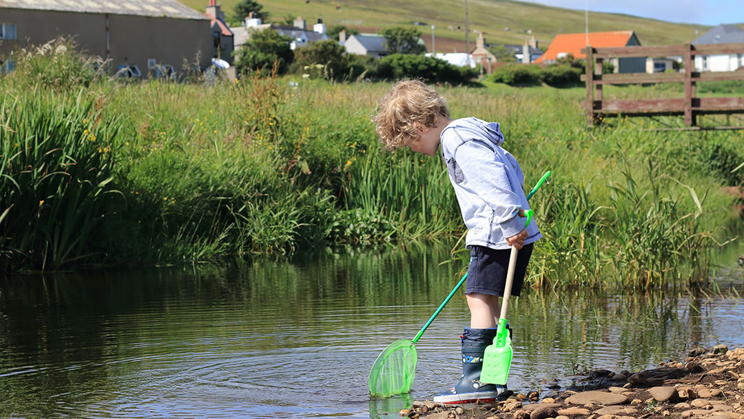 Catching fish in Hoswick Burn