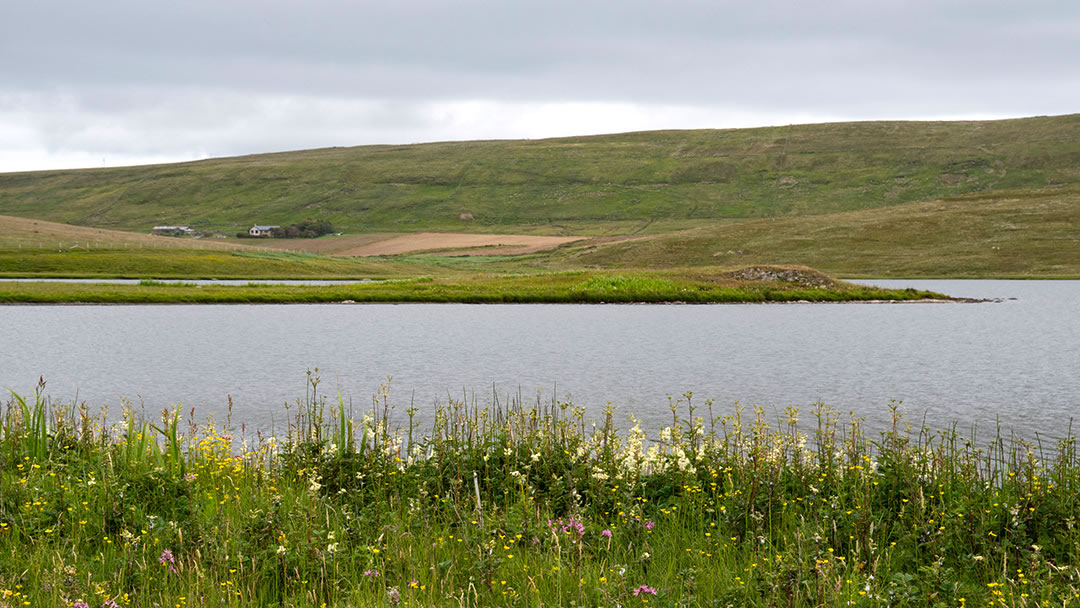 Tingwall loch - a Viking meeting site in Shetland