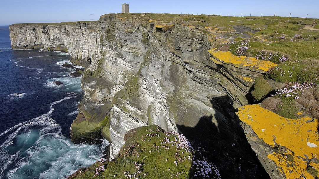 Marwick Head, Orkney