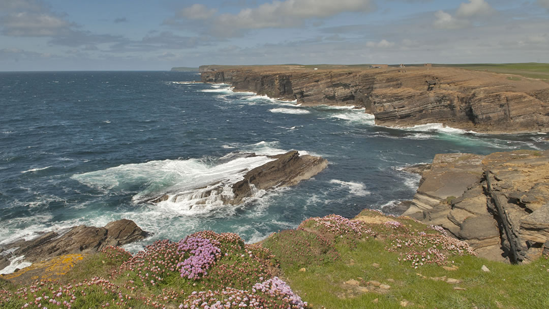 Yesnaby cliffs, Orkney