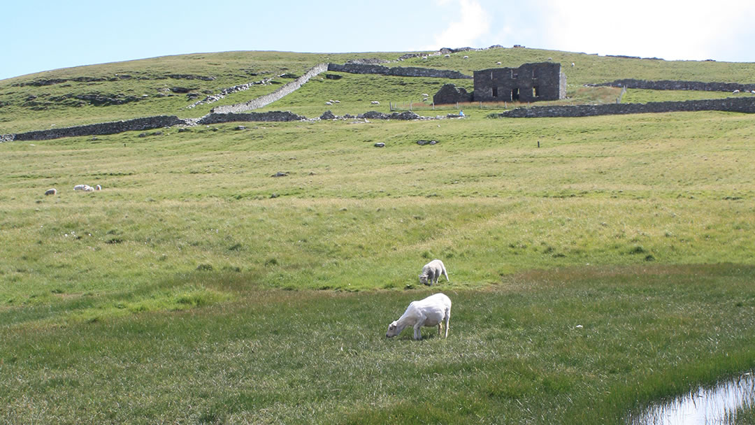 The Haa on Mousa in Shetland