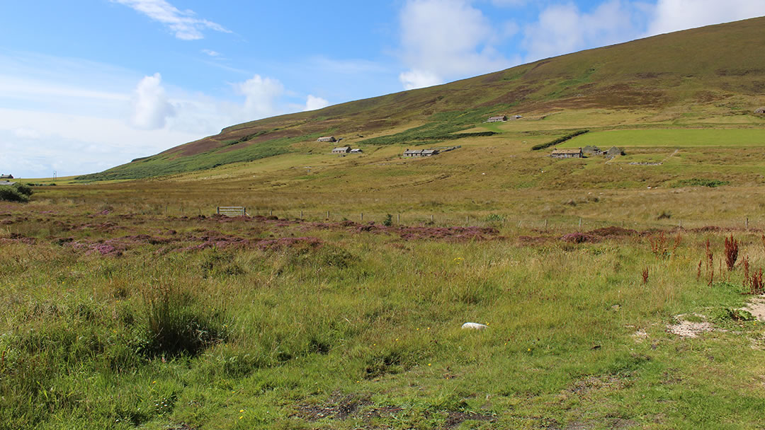 The hillside of Moor Fea in Rackwick, Orkney