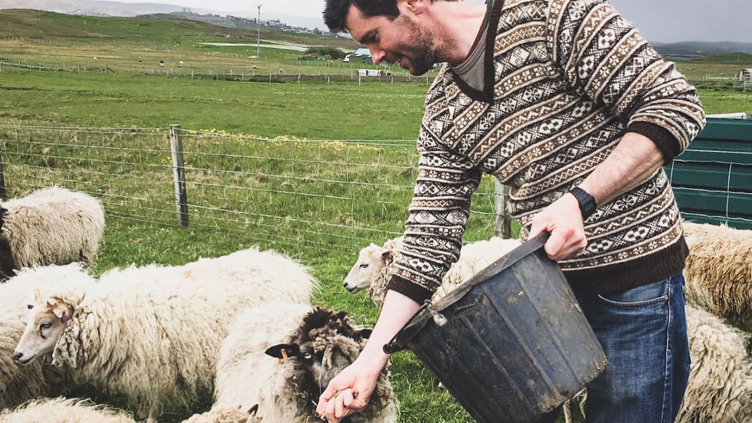 Chris Dyer and Shetland sheep