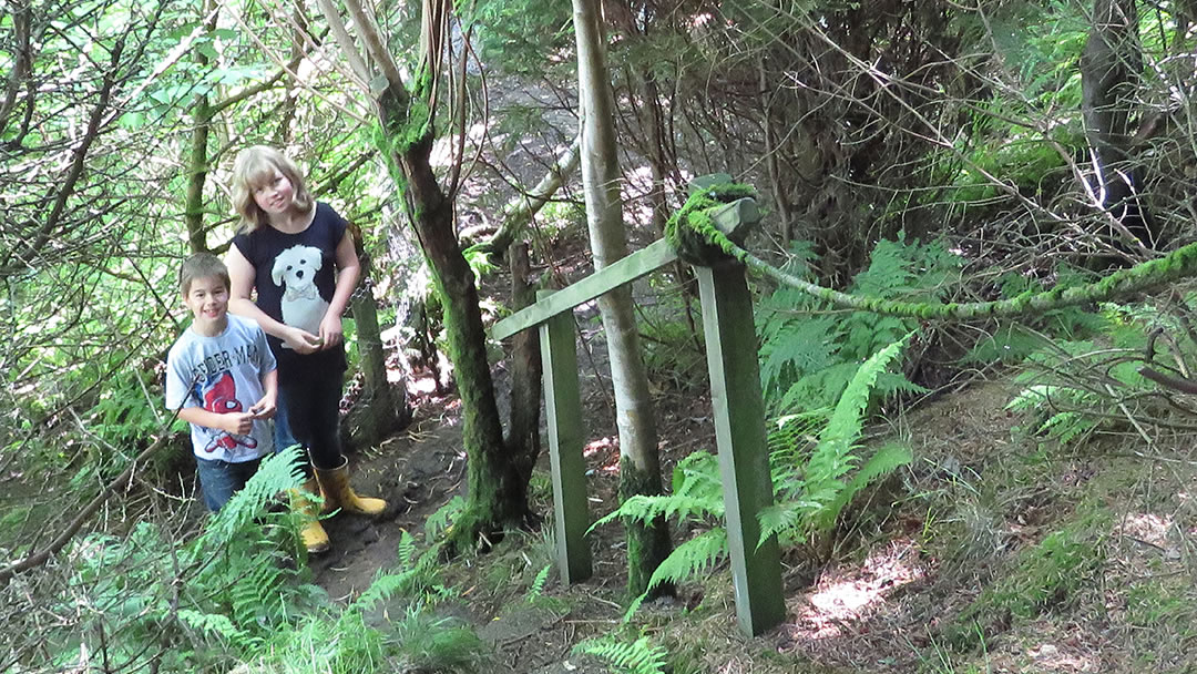 Olav's Wood, South Ronaldsay, Orkney