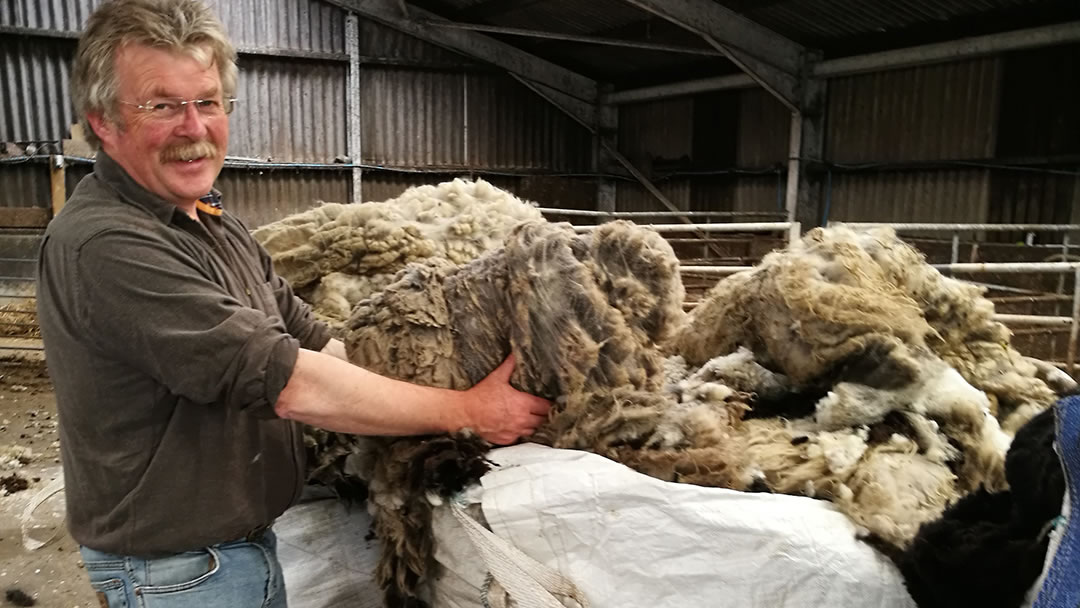 Ronnie Eunson and wool from his Shetland sheep