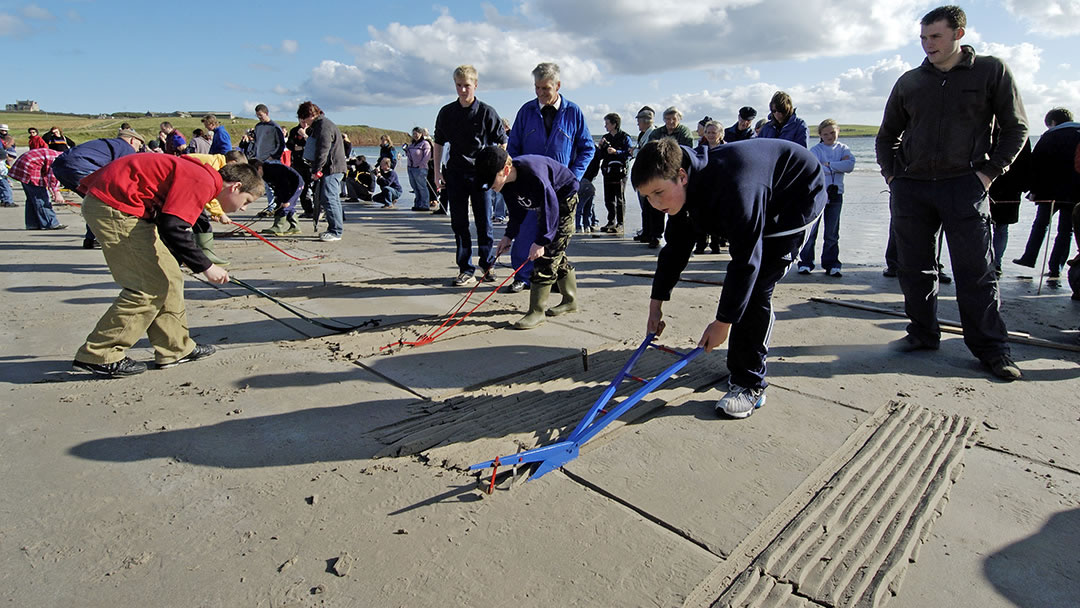 The Boy's Ploughing Match