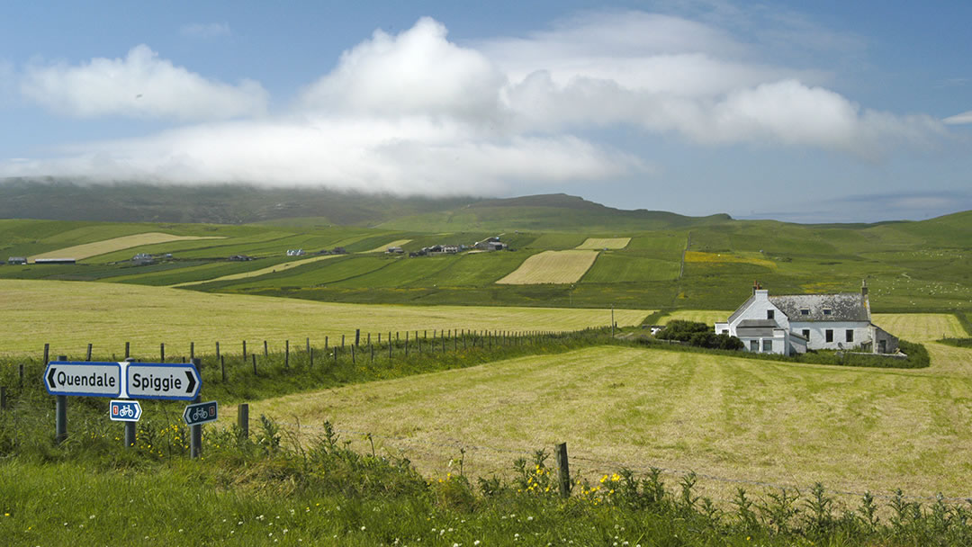 The road to Quendale in Shetland