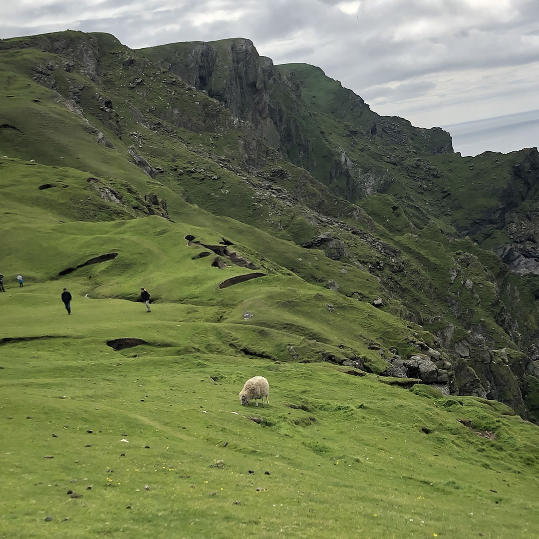 Hermaness in Shetland