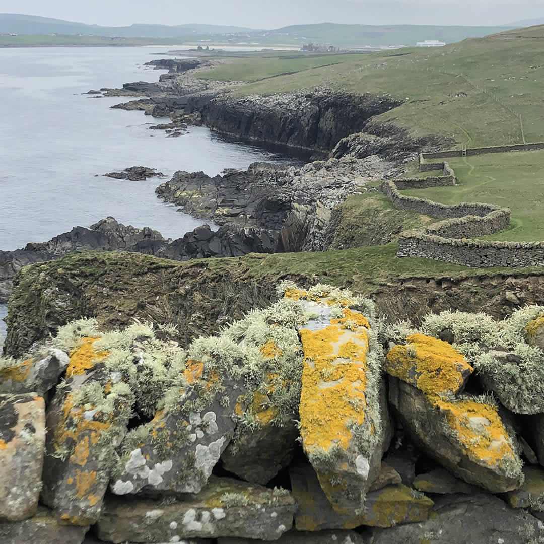 Sumburgh head looking North, Shetland