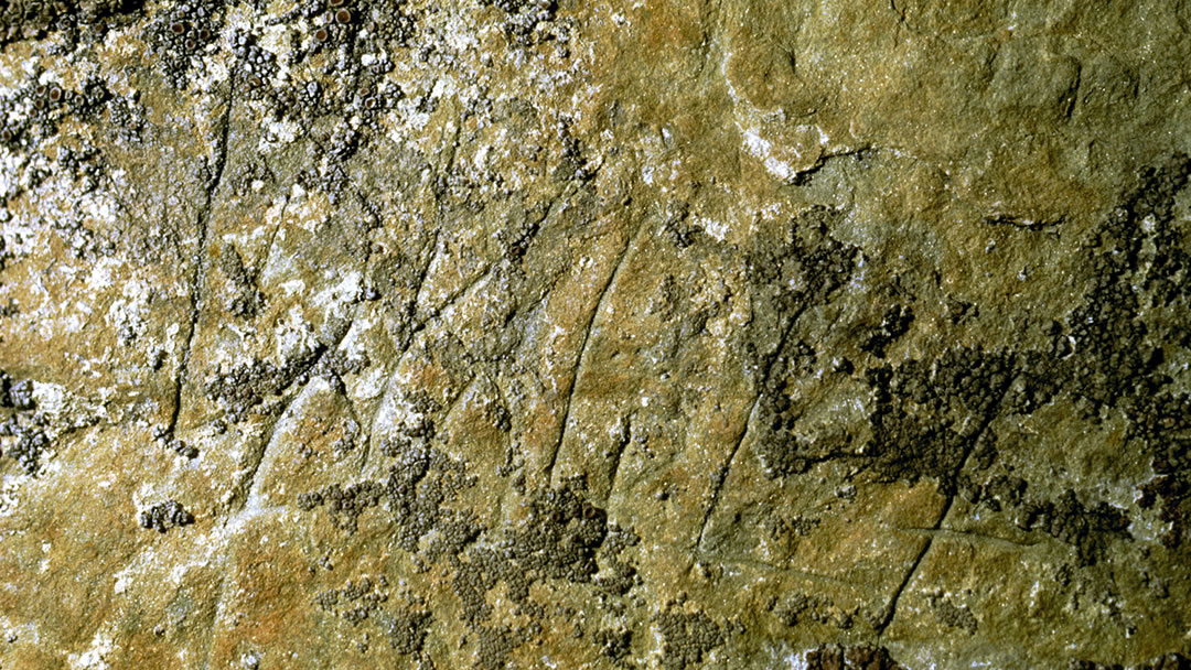 Runic carving at the Ring of Brodgar