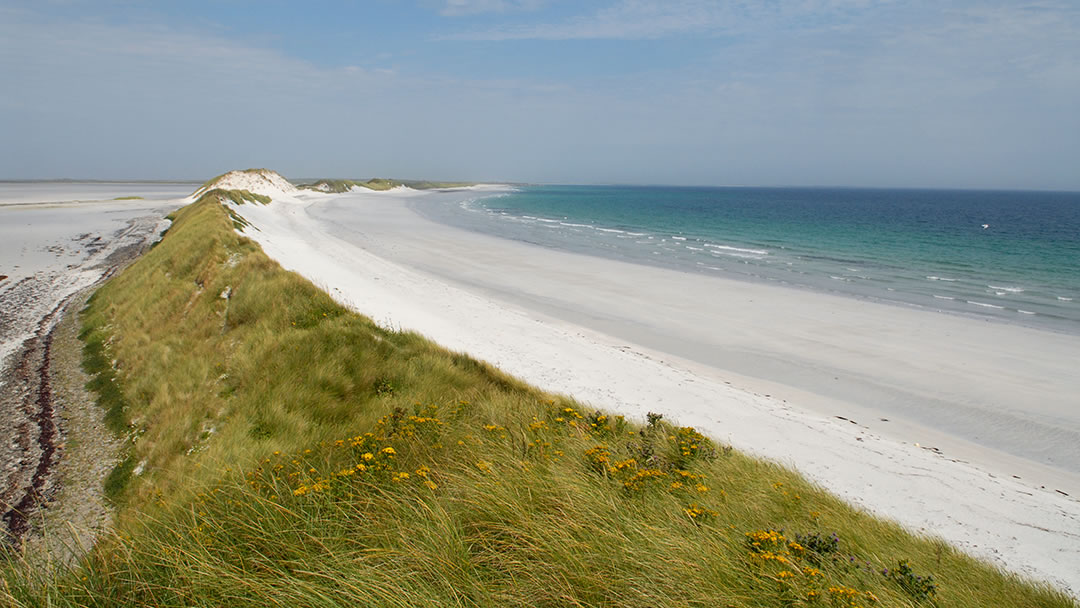 Tresness in Sanday, Orkney