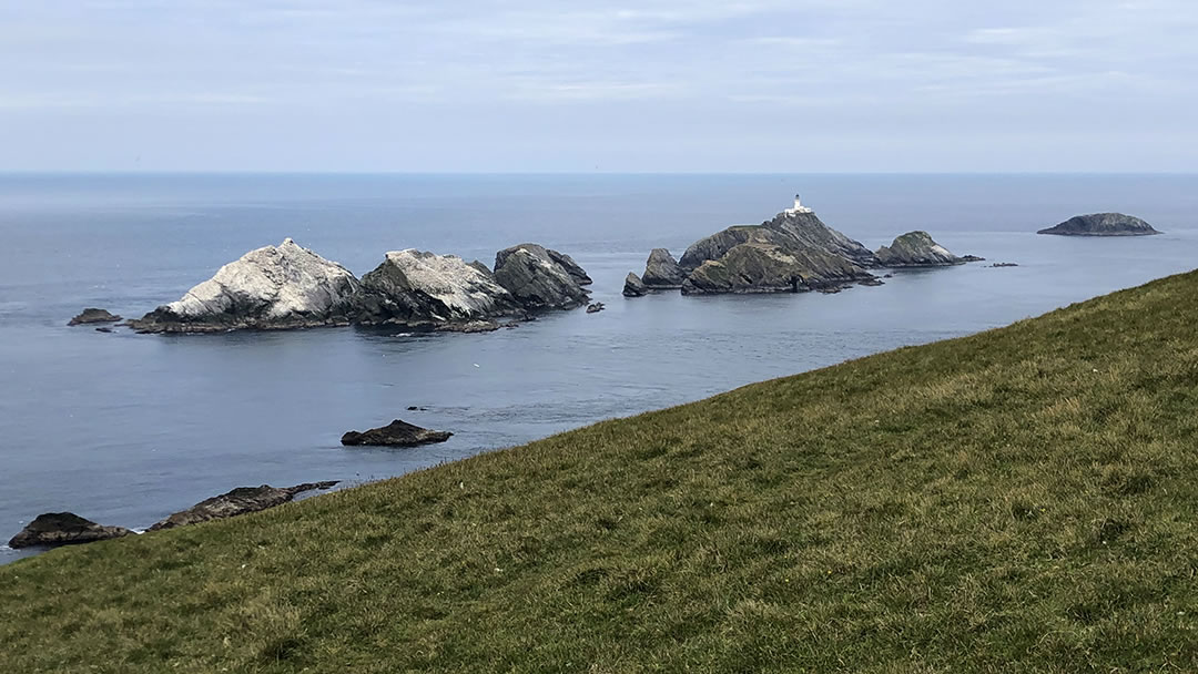 Muckle Flugga, Hermaness