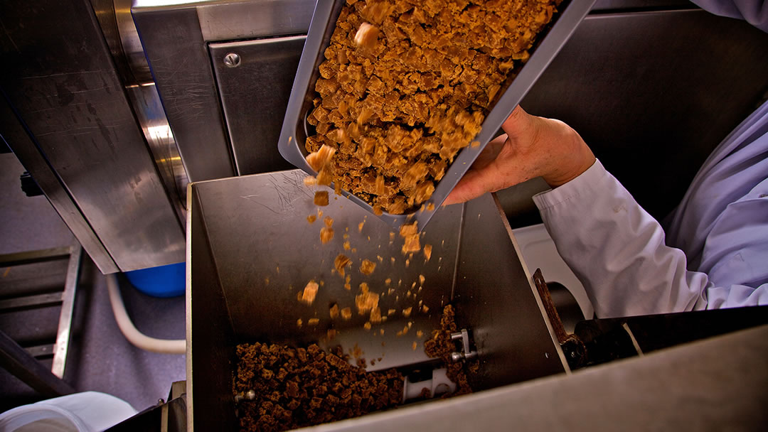 Adding Orkney Fudge to Orkney Ice Cream