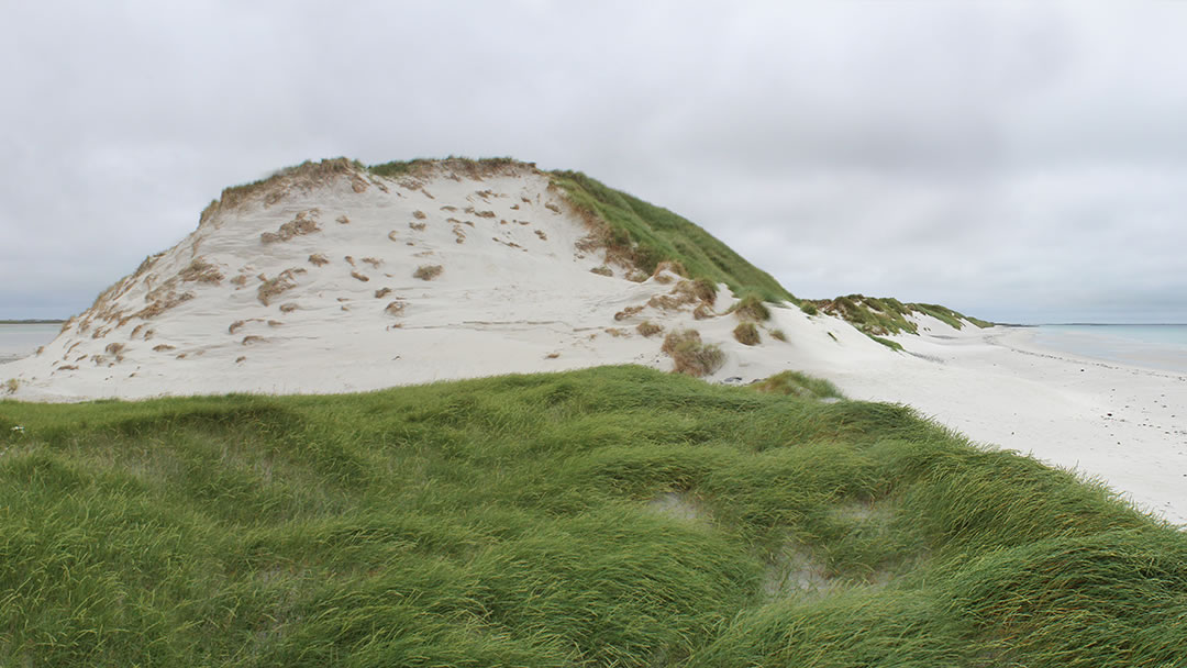 Tresness sand dunes in Sanday, Orkney