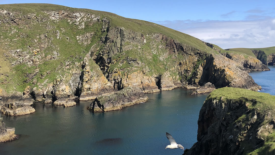 Neapaback in Yell, Shetland