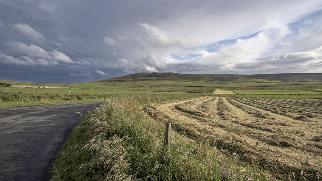 Germiston Road, Orkney