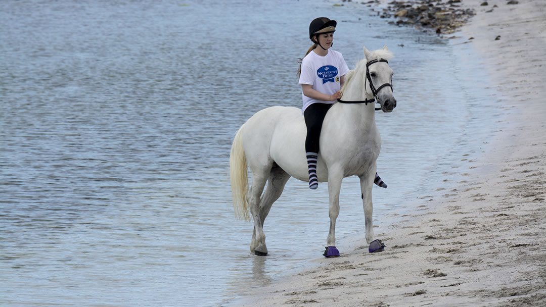 Pony on Minn beach in Shetland