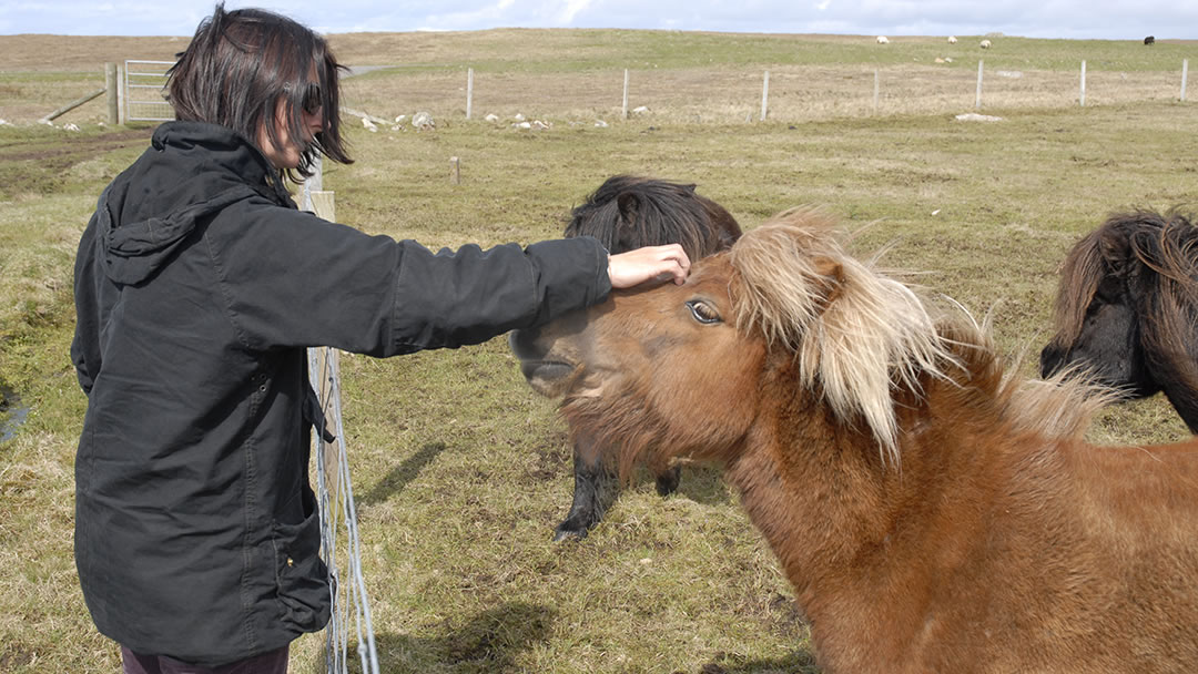 Petting a Shetland Pony