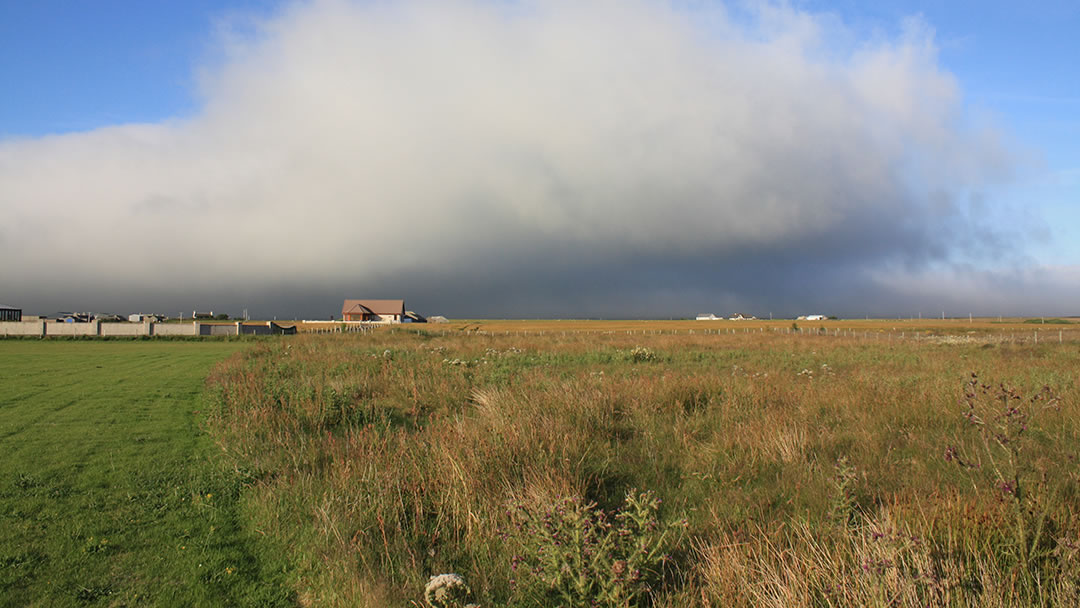 Rough grassland in Stenness