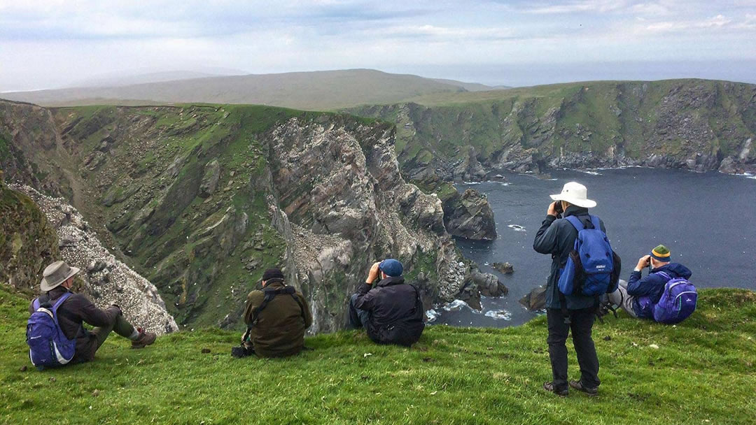 Hermaness cliffs, Unst