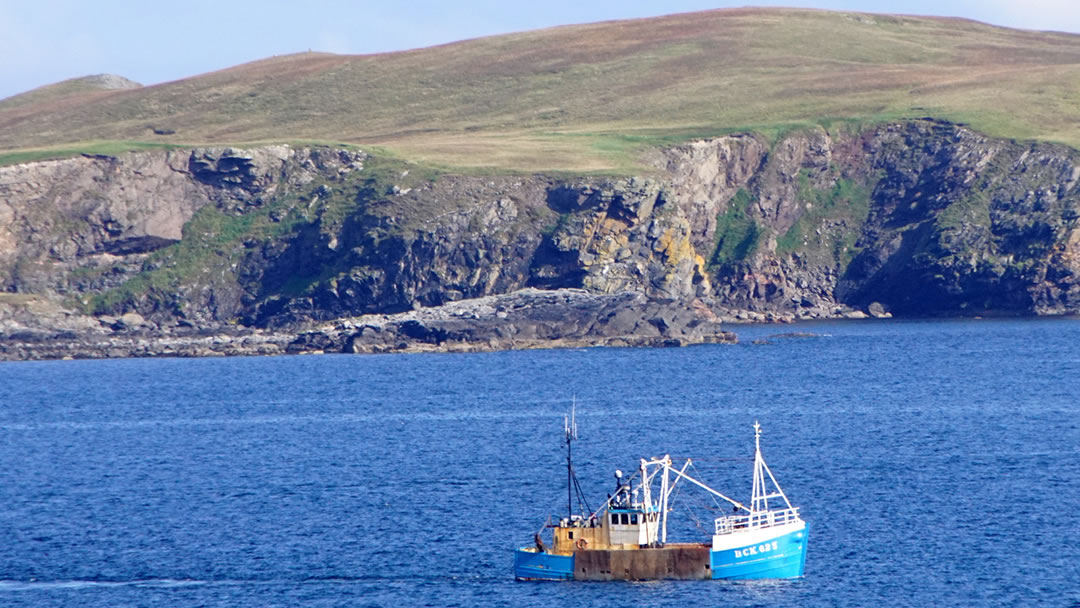 Hill of Neap, Nesting in Shetland