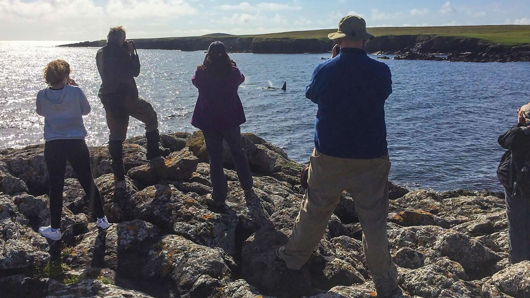 Our group watching Orcas