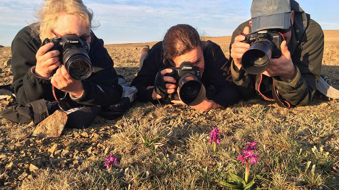 Photographing Early Purple Orchids by Hugh Harrop