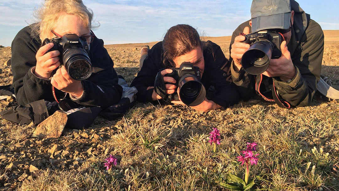 Photographing Early Purple Orchids