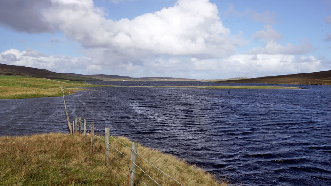 The Ayre of Dury in Nesting, Shetland by Mike Pennington