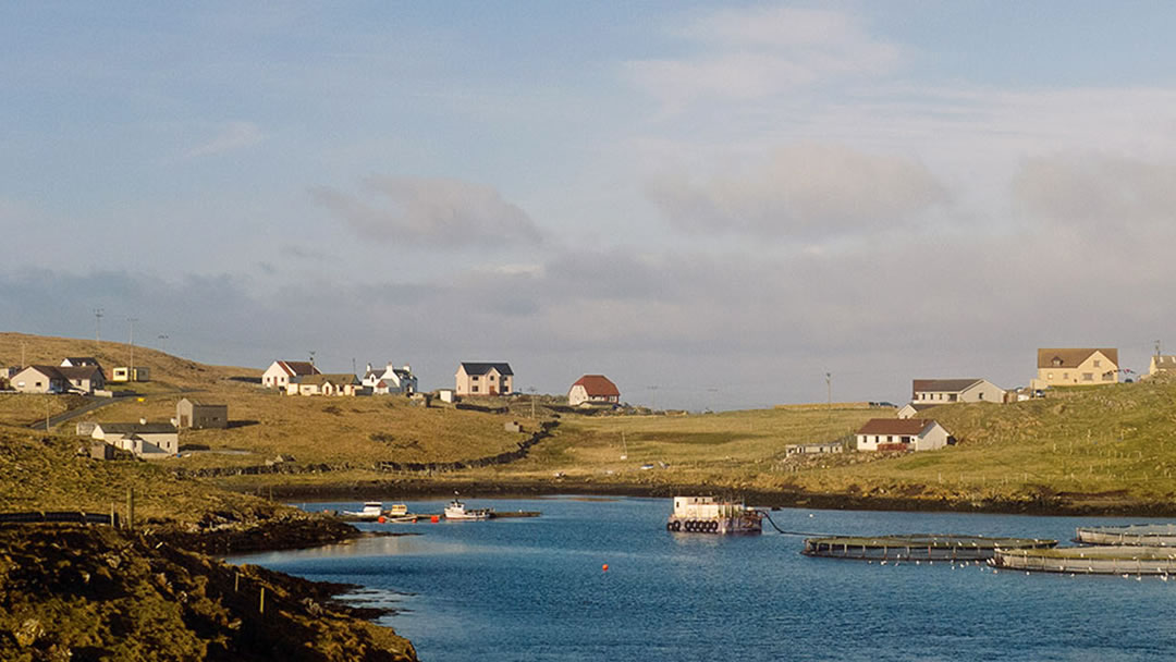 Houses on Housay photo © Julian Paren