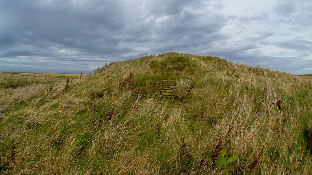 Hillock of Baywest, Stronsay in Orkney