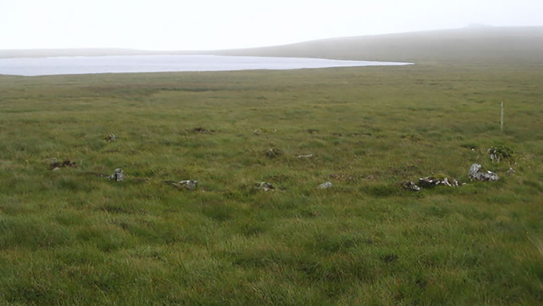 Hjaltadans stone circle