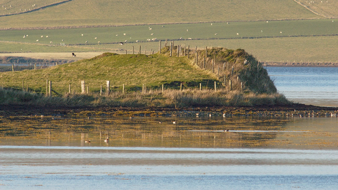 Ingashowe in Firth Orkney