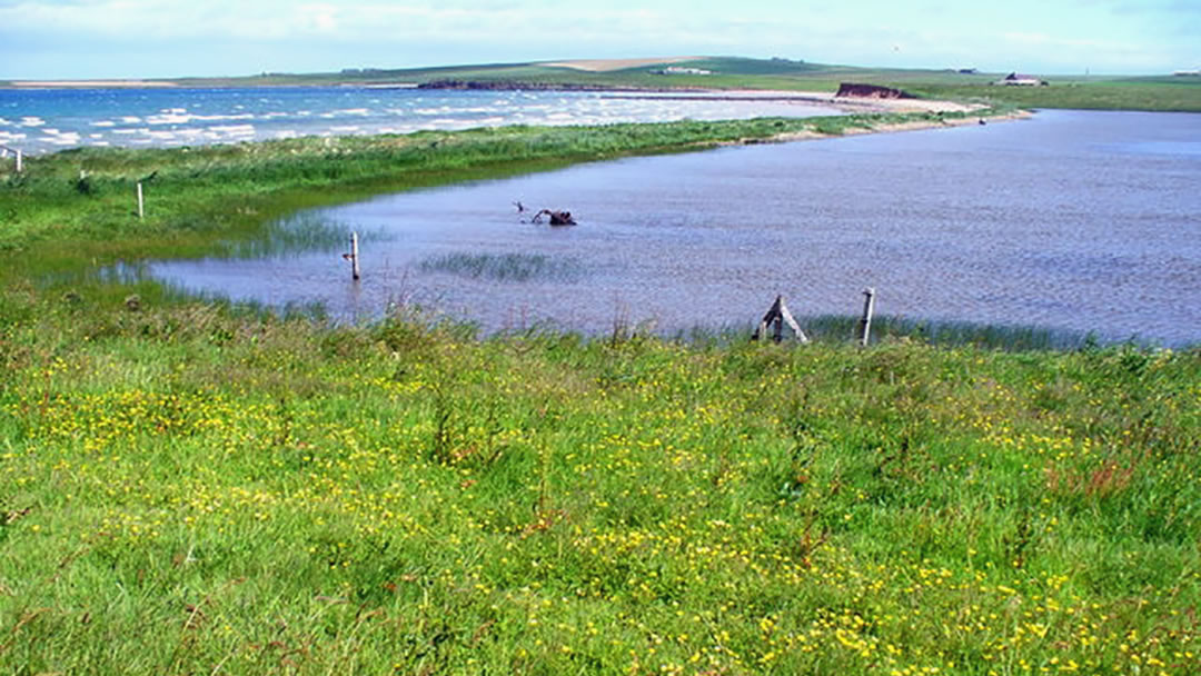Lairo Water, Shapinsay by Colin Smith
