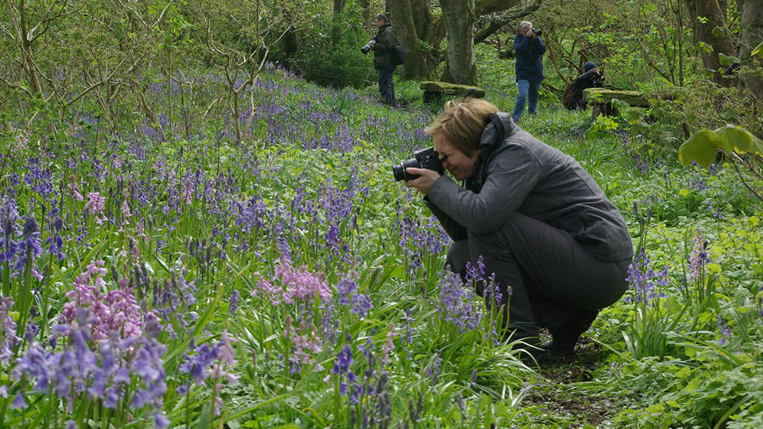 Orkney Nature Festival