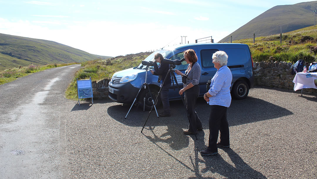 Watching the Sea Eagles at the Dwarfie Stane, Hoy, Orkney