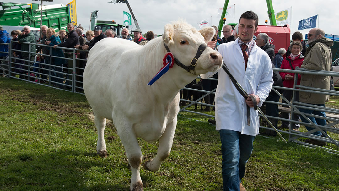 The Dounby Show, Orkney