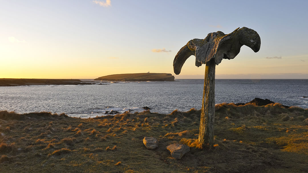 Whalebone at Skipi Geo and the Brough of Birsay, Orkney