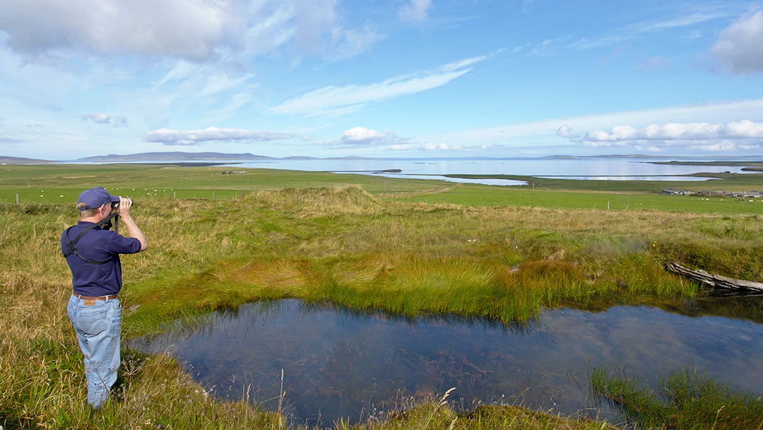 Ward Hill, Shapinsay, Orkney