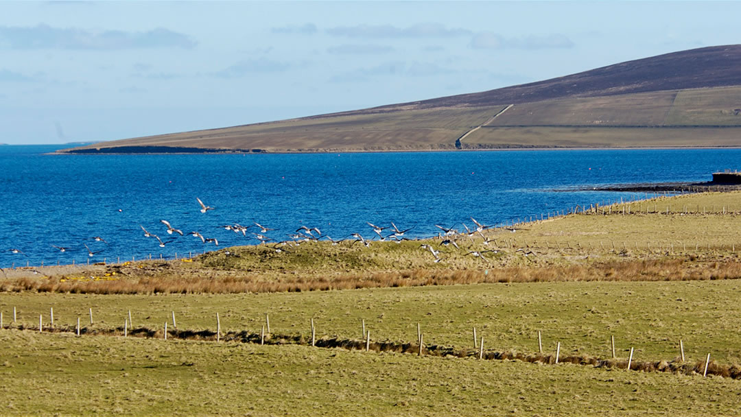 Wass Wick, Rendall, Orkney