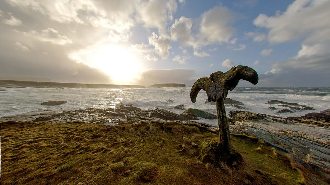 Birsay whalebone at Skipi Geo