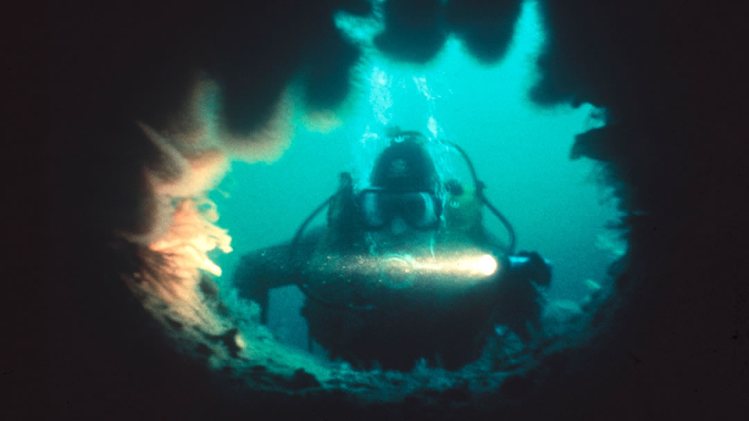 Scapa Flow Diver, Orkney