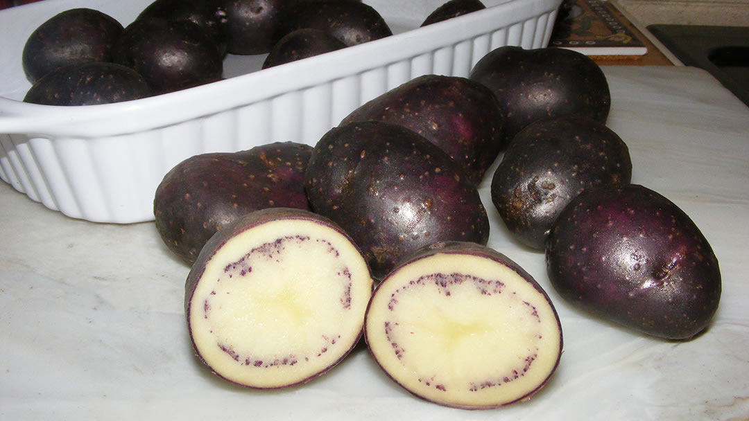 Shetland black potatoes