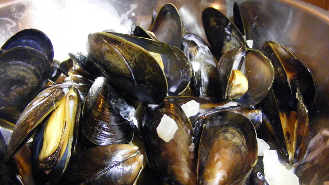 Shetland mussels