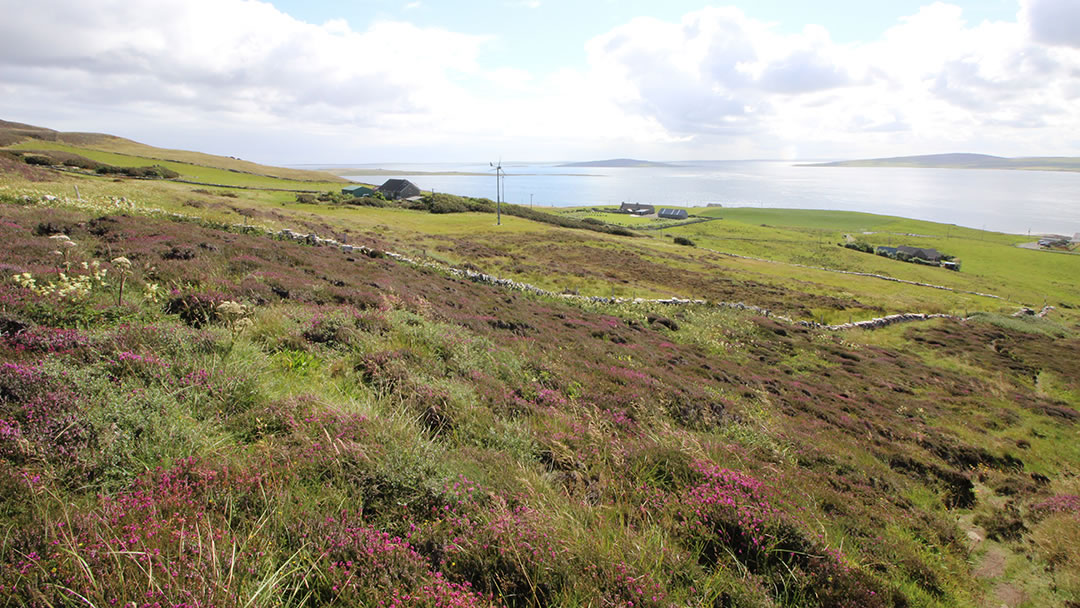 Walk to the Knowe of Yarso, Rousay, Orkney