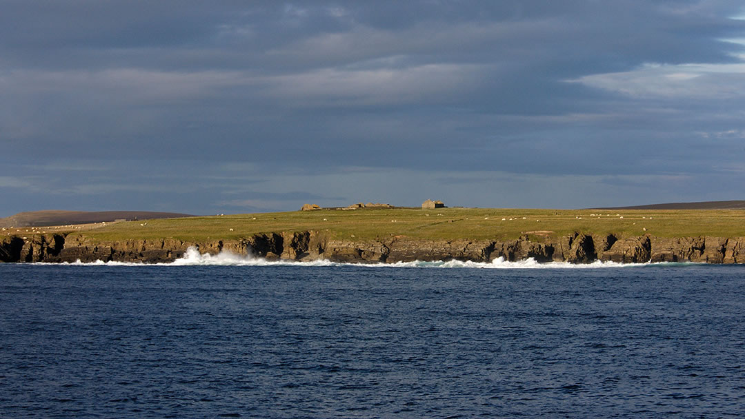 Faray coast in Orkney