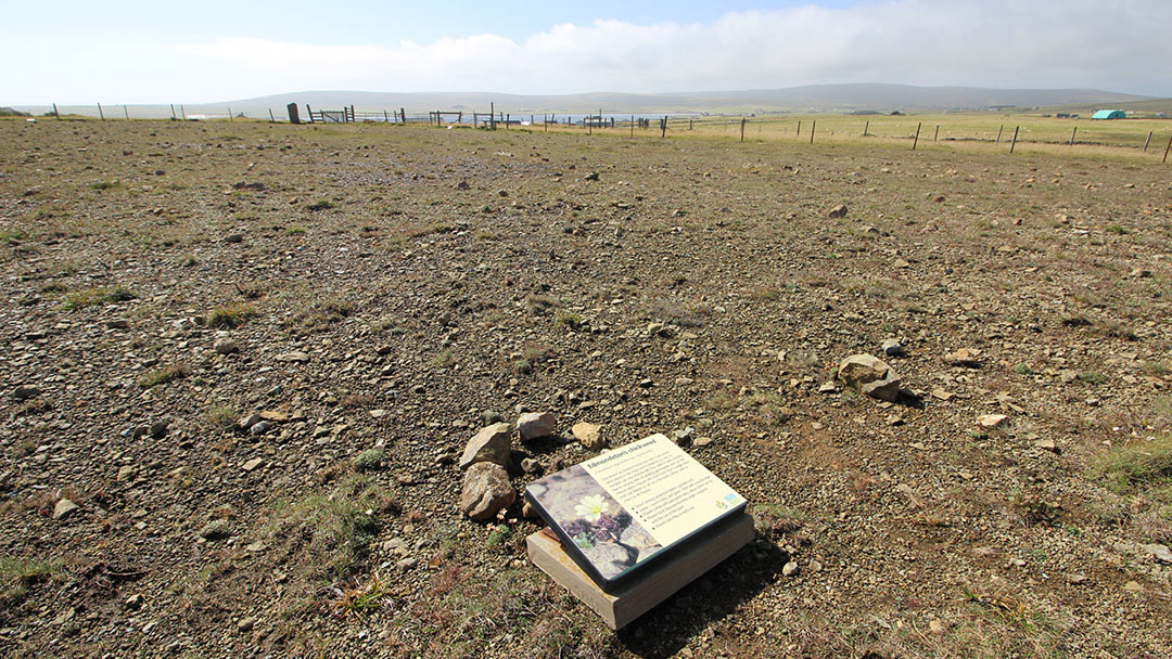 The Keen of Hamar Nature Reserve